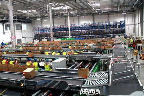 西安聯手阿里破解農產品倉儲物流難題，西北最大數字農業倉配體系正式啟用